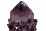 Dark, Amethyst Cactus Crystal - South Africa #115389-1
